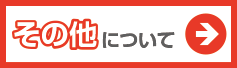 その他について